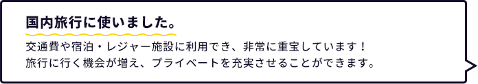 国内旅行に使いました。