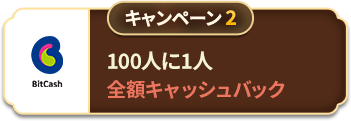 キャンペーン3 100人に1人半額キャッシュバック