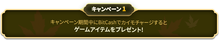 キャンペーン1 キャンペーン期間中にBitCashでカイモチャージすると豪華ゲームアイテムをプレゼント