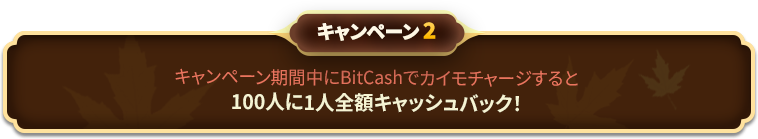 キャンペーン3 キャンペーン期間中にBitCashでカイモチャージすると100人に1人半額キャッシュバック!