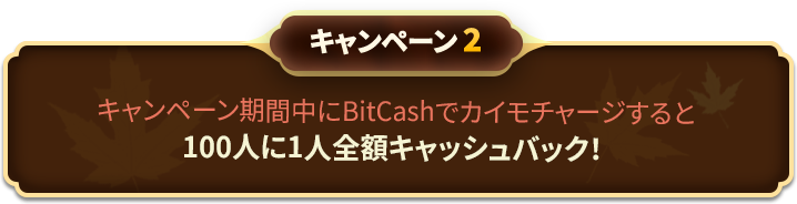 キャンペーン3 キャンペーン期間中にBitCashでカイモチャージすると100人に1人半額キャッシュバック!