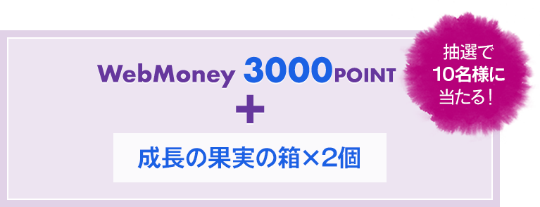 WebMoney3000POINT