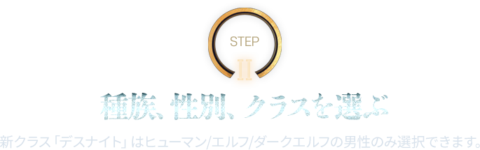 STEP2 種族、性別、クラスを選ぶ