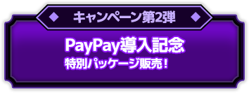 キャンペーン第2弾 PayPay導入記念 特別パッケージ販売！