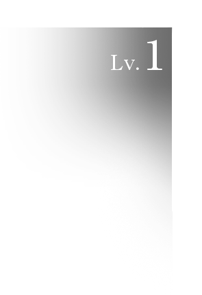一般　Lv.1