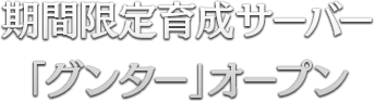 期間限定育成サーバーオープン予定