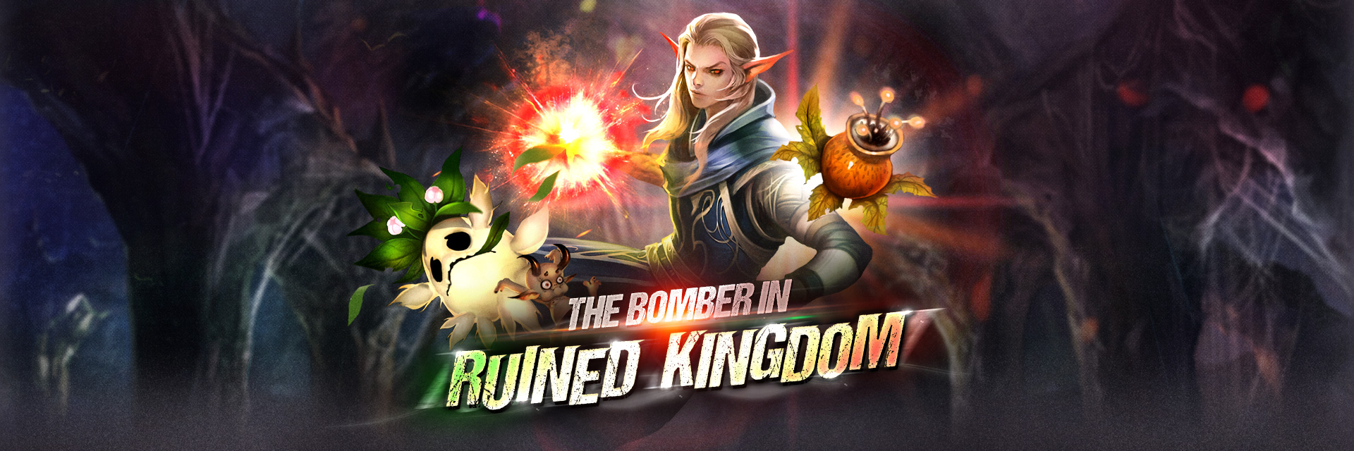 Bomber in Kingdom