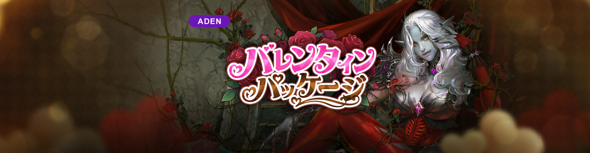 バレンタインパッケージ